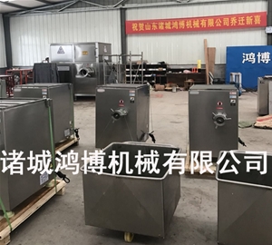 100型凍（dòng）肉絞肉機