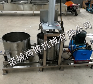 藍（lán）莓壓榨機（jī）