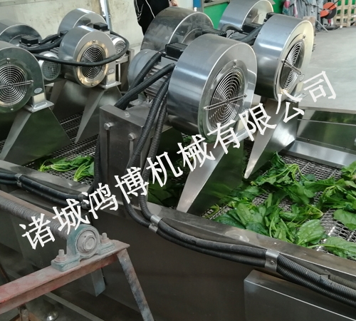 清洗風幹流水線（xiàn）