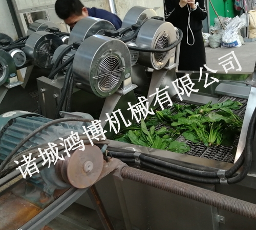 中草藥風(fēng)幹機