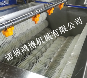 果蔬清洗去（qù）皮機