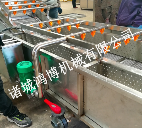 大薑清洗去皮機