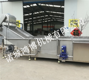 可定製氣泡清（qīng）洗機