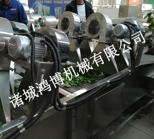 全(quán)自動粽葉(yè)風幹機