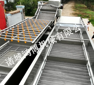 生薑清洗機