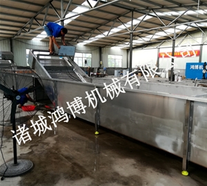 蔬菜清洗（xǐ）機