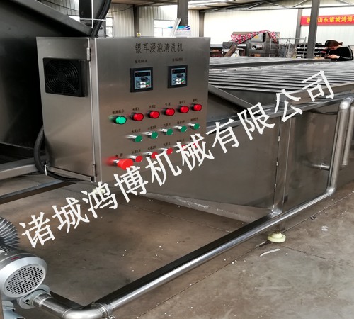 矽片清洗機
