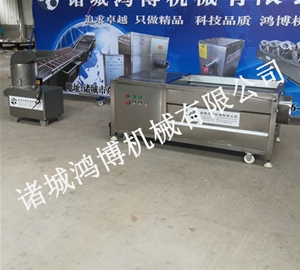 聖女果清洗去泥機