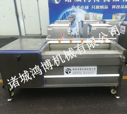 瓜果類清洗去(qù)皮機