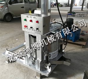 商用（yòng）全自（zì）動液（yè）壓壓（yā）榨機