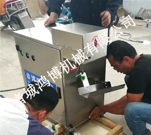 水果去皮設（shè）備（bèi）