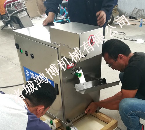 水(shuǐ)果去皮設備